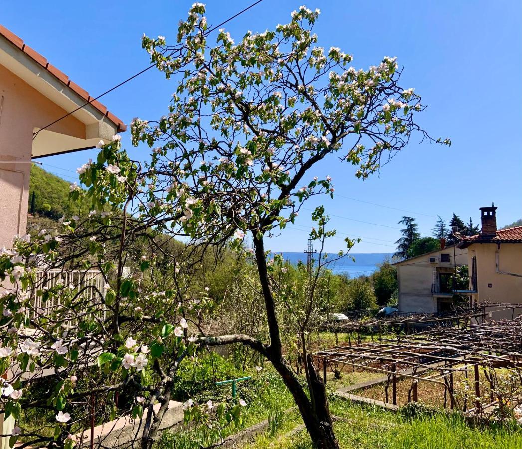 Villa Flamingo Mošćenička Draga Esterno foto